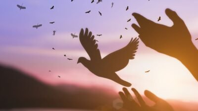 Esperar no Senhor Renovará suas Forças